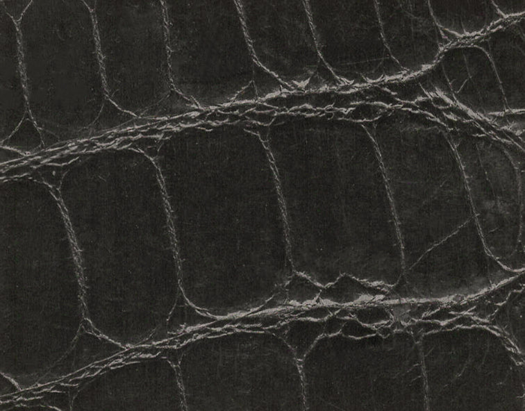 Leather | MAISON TAKUYA